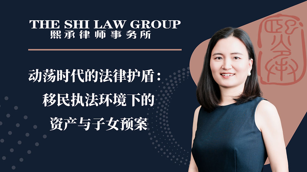 动荡时代的法律护盾：移民执法环境下的资产与子女预案