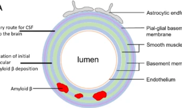 18_2024_5277_Fig3.png