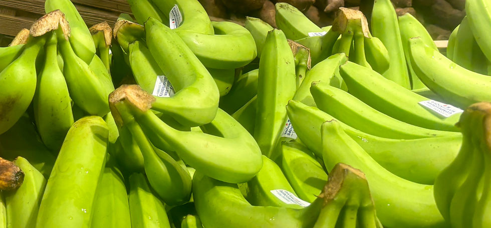 Condition des ouvriers agricoles