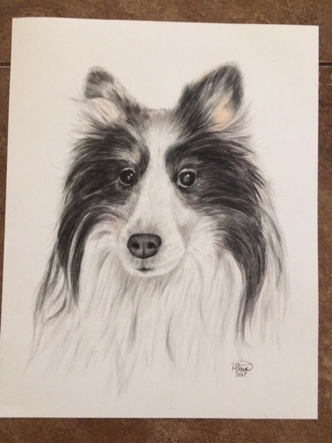 Dog Portrait - Matt Thone