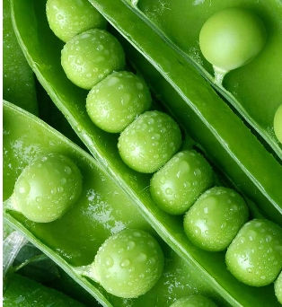 Thumbnail: I.C.O.N. Conditioner Moisturizing hair-yurvedic conditioner