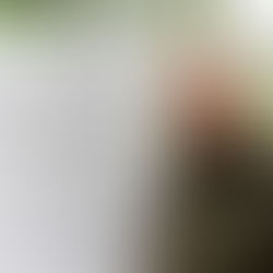 Porch Talk with Tim Rensema