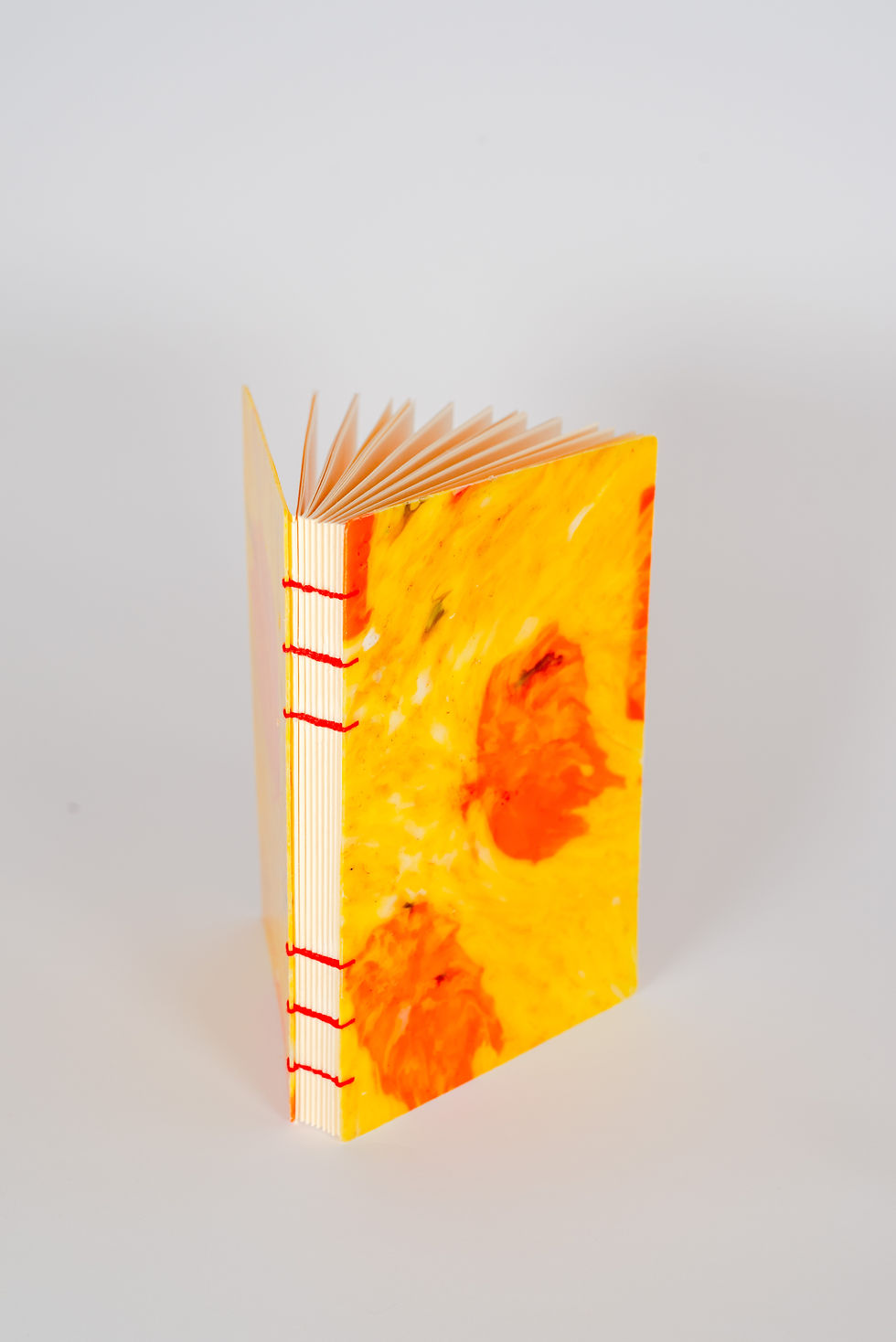 Miniatura: EcoBook