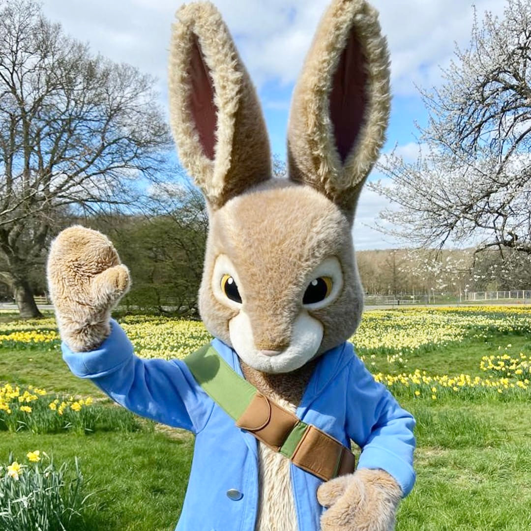Easter Bunny Ticket
