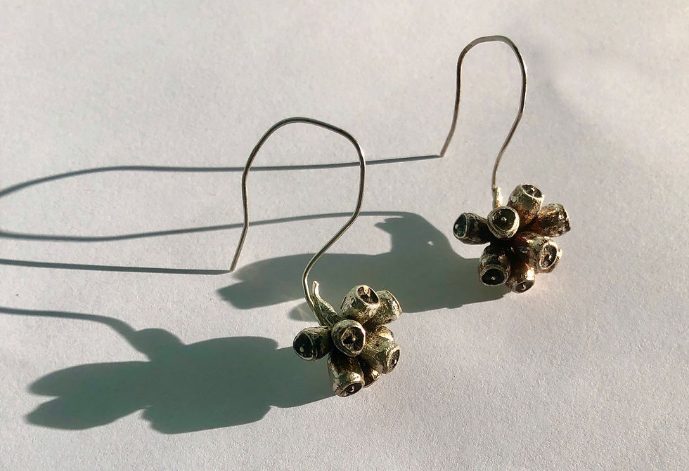 Thumbnail: Eucalyptus Cladocalyx Earrings
