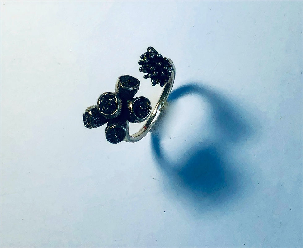 Thumbnail: Cassiopeia large garden ring