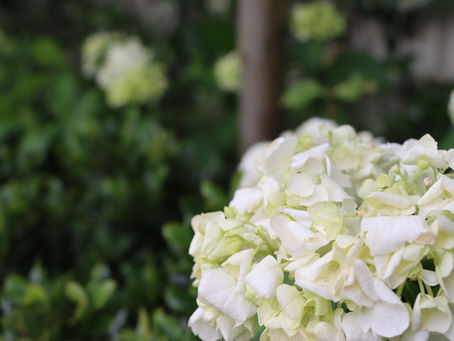 The Process Behind Building Beautiful Outdoor Spaces