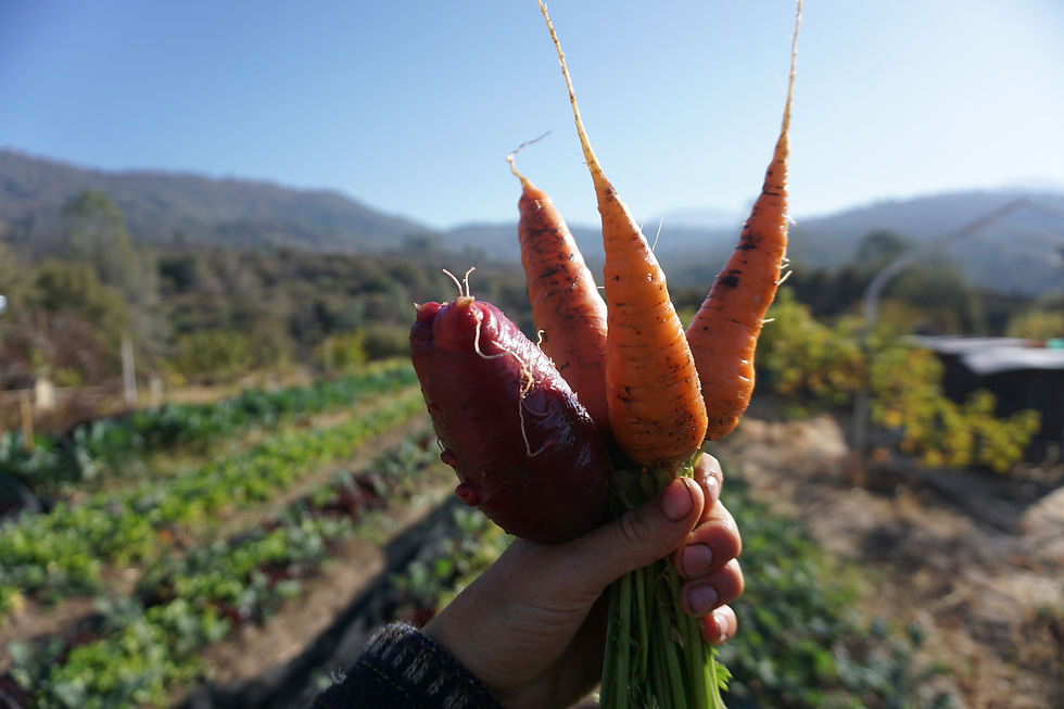 B3FA3875-7073-4994-B957-06851D140719.jpe