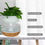 Thumbnail: Plant cloud Rain Humidifier