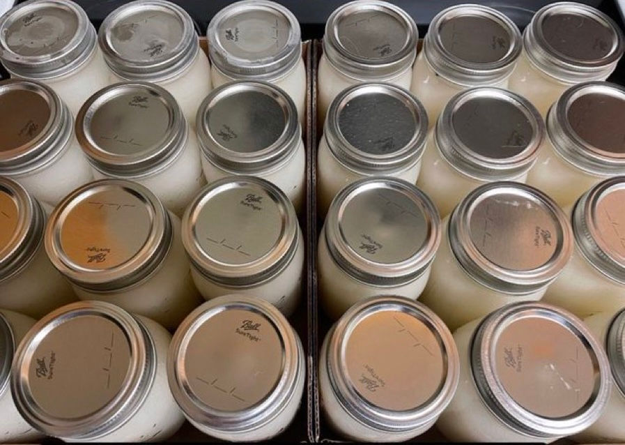 Thumbnail: 1.5 POUND LIQUID GOLD RAW WILD CRAFTED SEA MOSS 