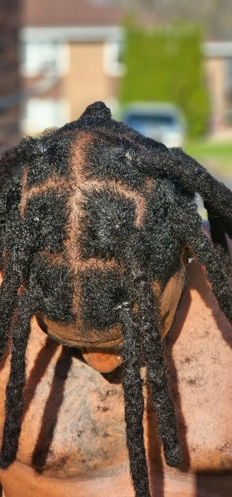 Thumbnail:  ALOE VERA & WILD ORGANIC SEA MOSS SHAMPOO AND LOC BARS 