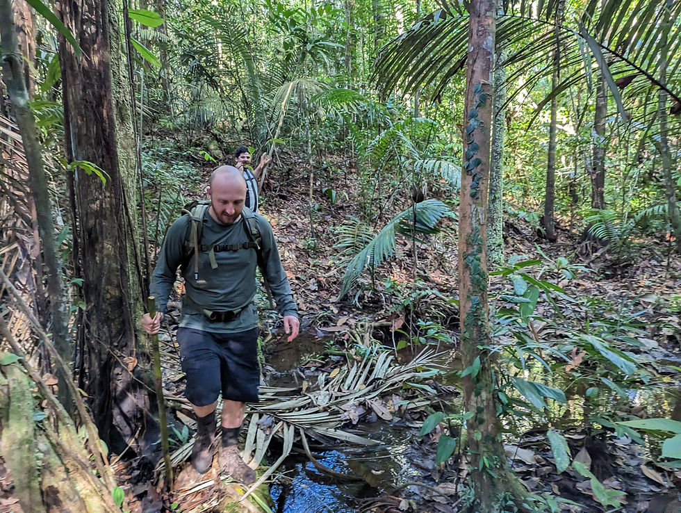 Hiking in the Rainforest