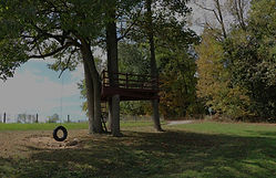1Z0A2395_edited_edited.jpg