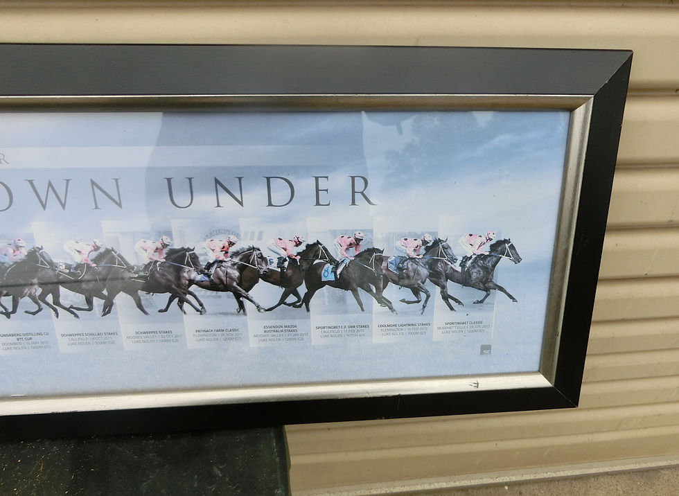Thumbnail: Wonder from down under Print