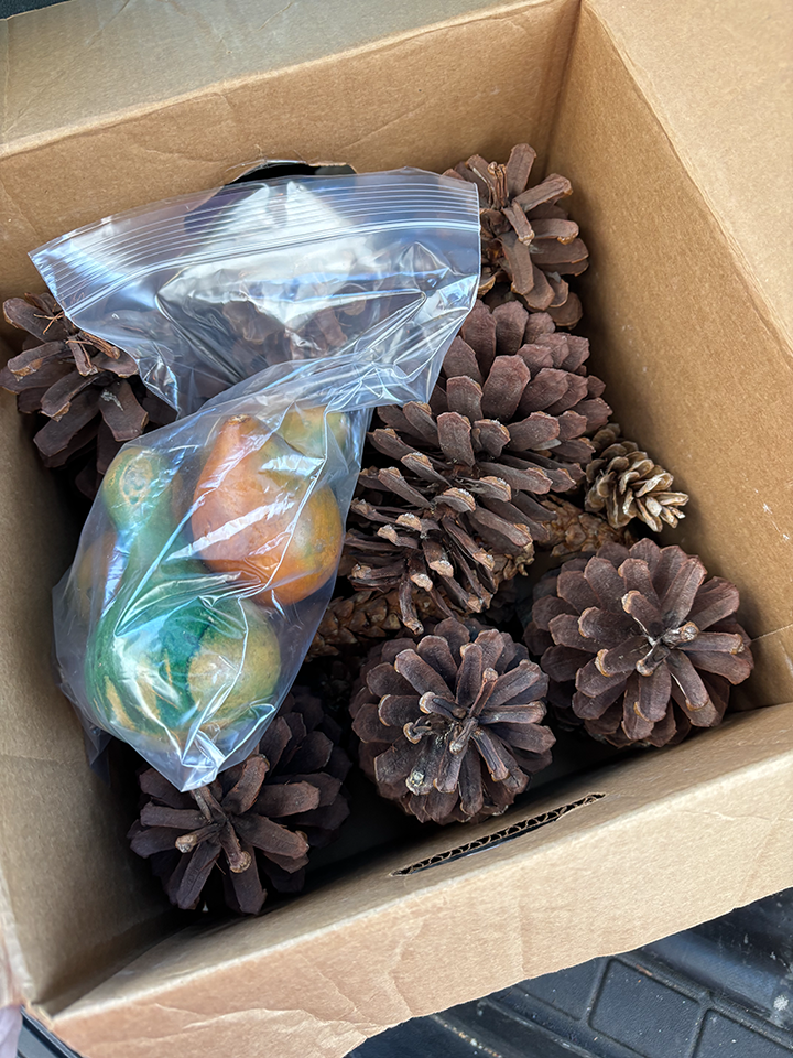 Box of large pinecones