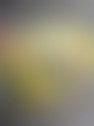 127 Sale Day 3—2021