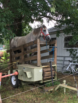 Shop till you drop...