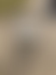 New Life for a Vintage Fabric