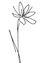 22185806_edited_edited.png
