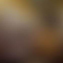 Palacio de la Musica Barcelona Entradas  