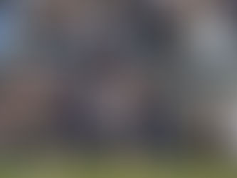 Lions @ Bears: Caleb Williams 2024 Week 16 Grade