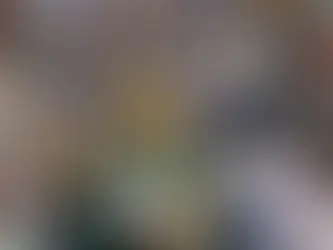 Packers @ Bears: Jordan Love 2024 Week 11 Grade