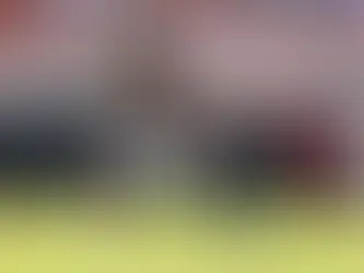 Radiers @ Bears: Tyson Bagent 2023 Week 7 Grade
