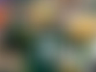 Jordan Love Week 12 QB Grade: Packers vs Vikings