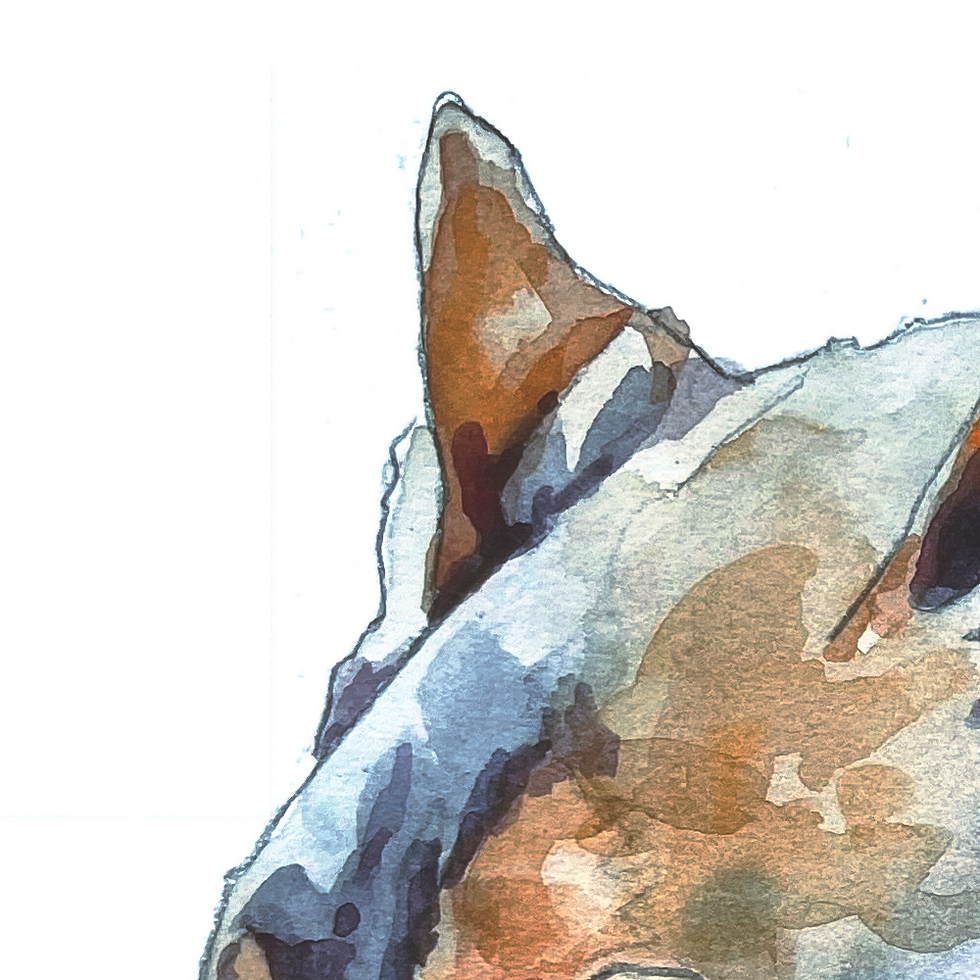 Thumbnail: 191 - Loup
