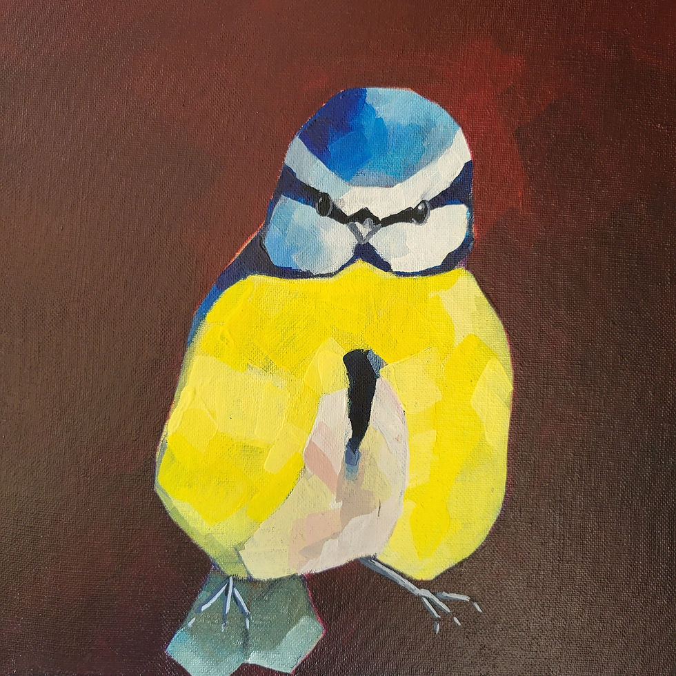 Thumbnail: 212 - Mésange Bleue 2