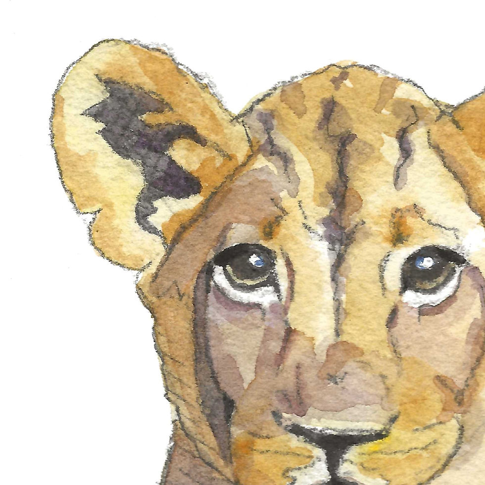 Thumbnail: 192 - Little big five - Lionceau