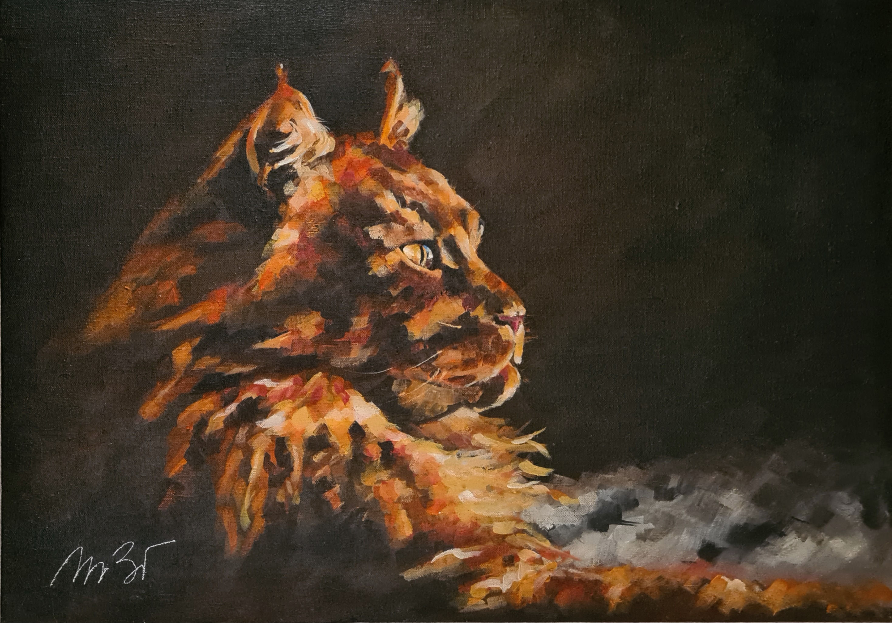 25 - Clair Obscur - Maine Coon