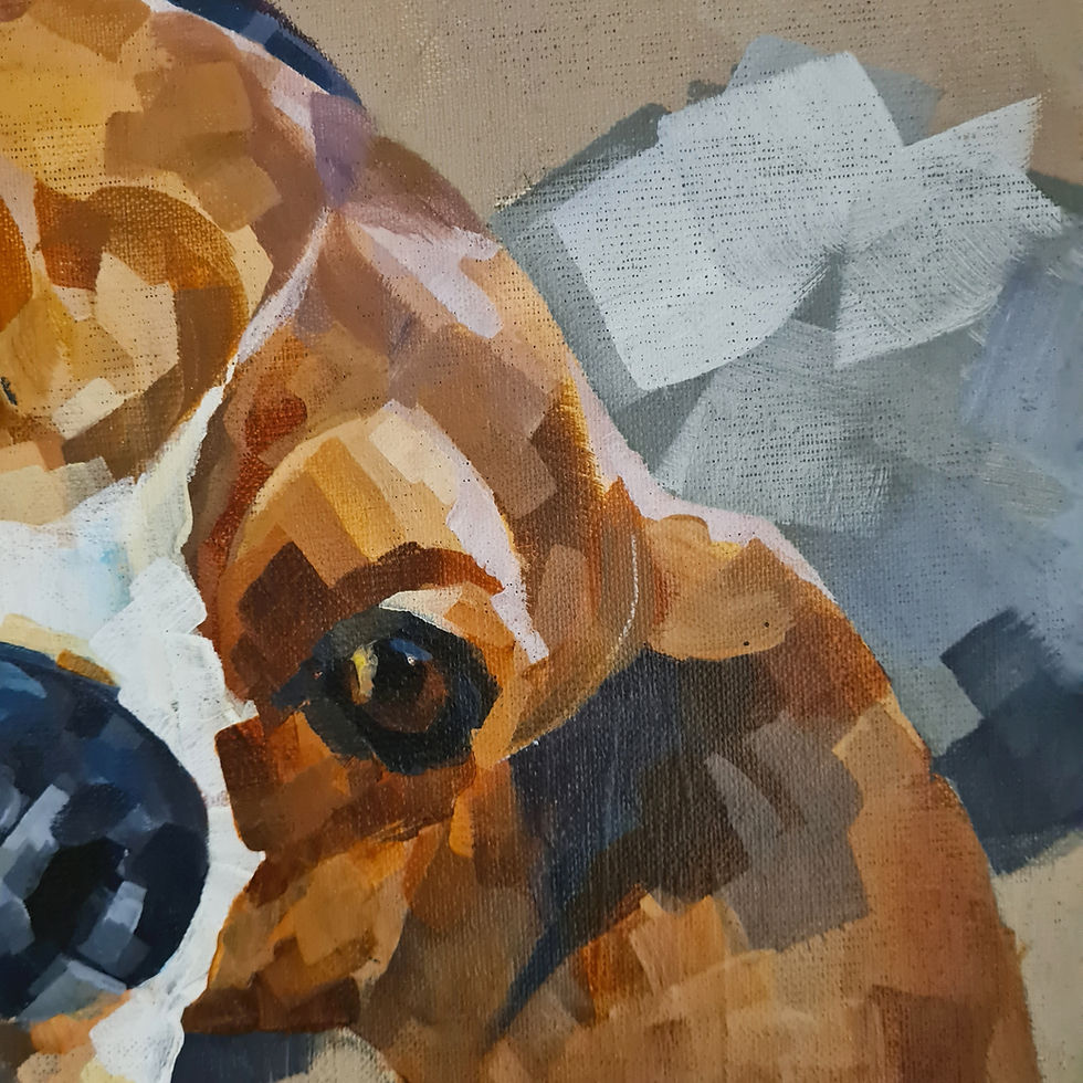 Thumbnail: 77 - La sièste - Beagle