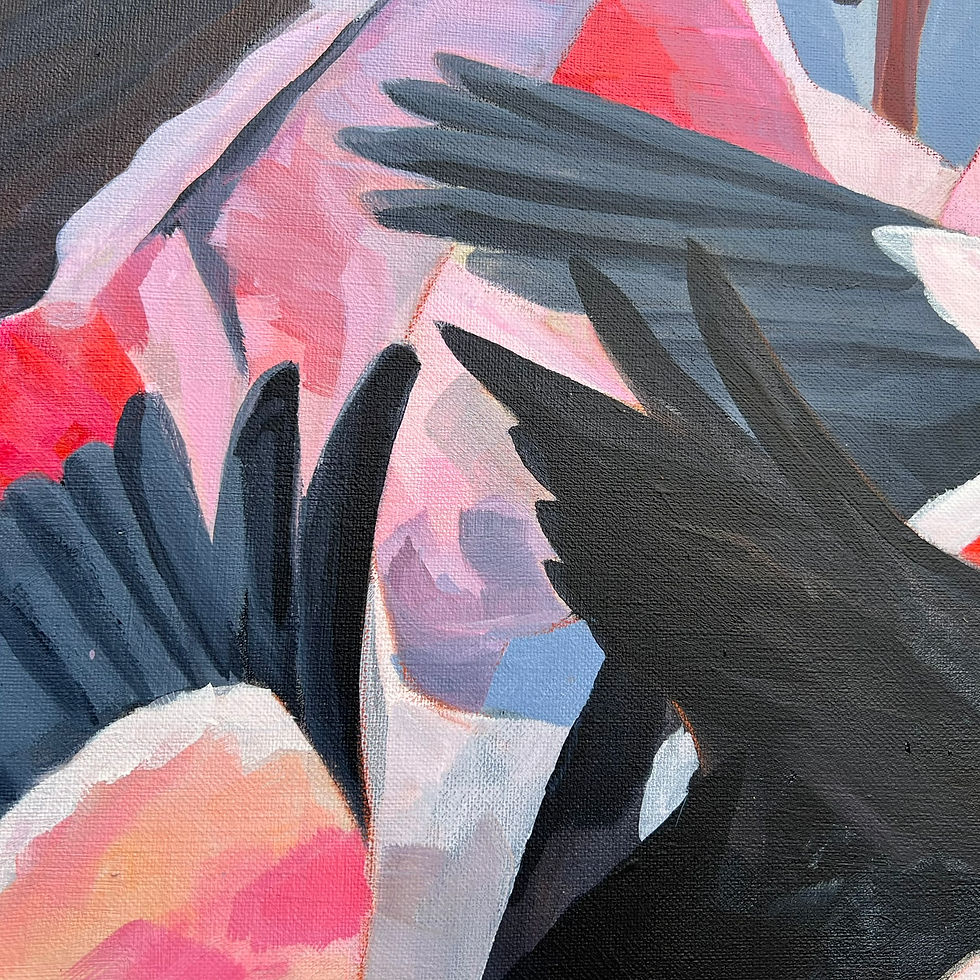 Thumbnail: 144 - L'envol - Flamants roses