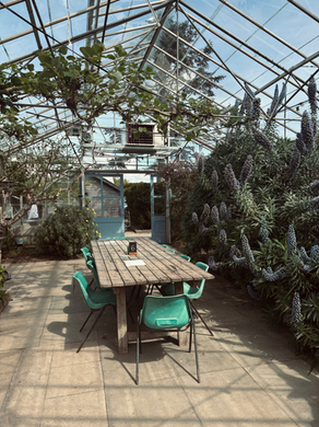 Food on and around the Lizard