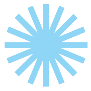 6550780f9523e87d50d2df52_Snowflake-Color.png