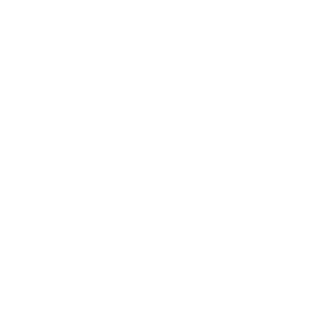 652a06007428444b8a49ab20_Logo10.png