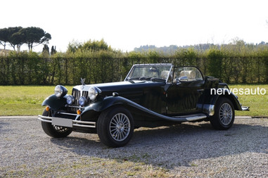 jba-falcon-for-sale-in-vendita-nervesauto-gastone-olivotto-0012.jpeg