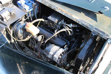 jba-falcon-in-vendita-nervesauto-olivotto-gastone.jpeg