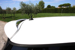 mini-cooper-s-works-nervesauto-olivotto-in-vendita-for-sale-13.jpeg