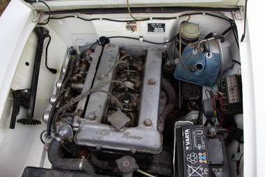 alfa-romeo-giulia-1300-nervesauto-olivotto_18.jpeg