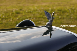 jba-falcon-for-sale-in-vendita-nervesauto-gastone-olivotto-0008.jpeg