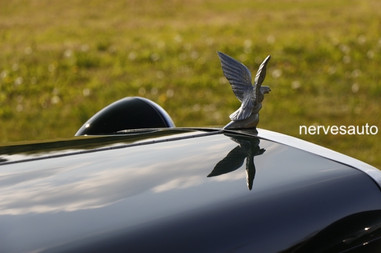 jba-falcon-for-sale-in-vendita-nervesauto-gastone-olivotto-0008.jpeg