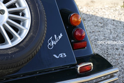 jba-falcon-for-sale-in-vendita-nervesauto-gastone-olivotto-0002.jpeg