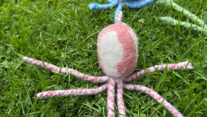 Oktopus aus Bio-Wollfilz