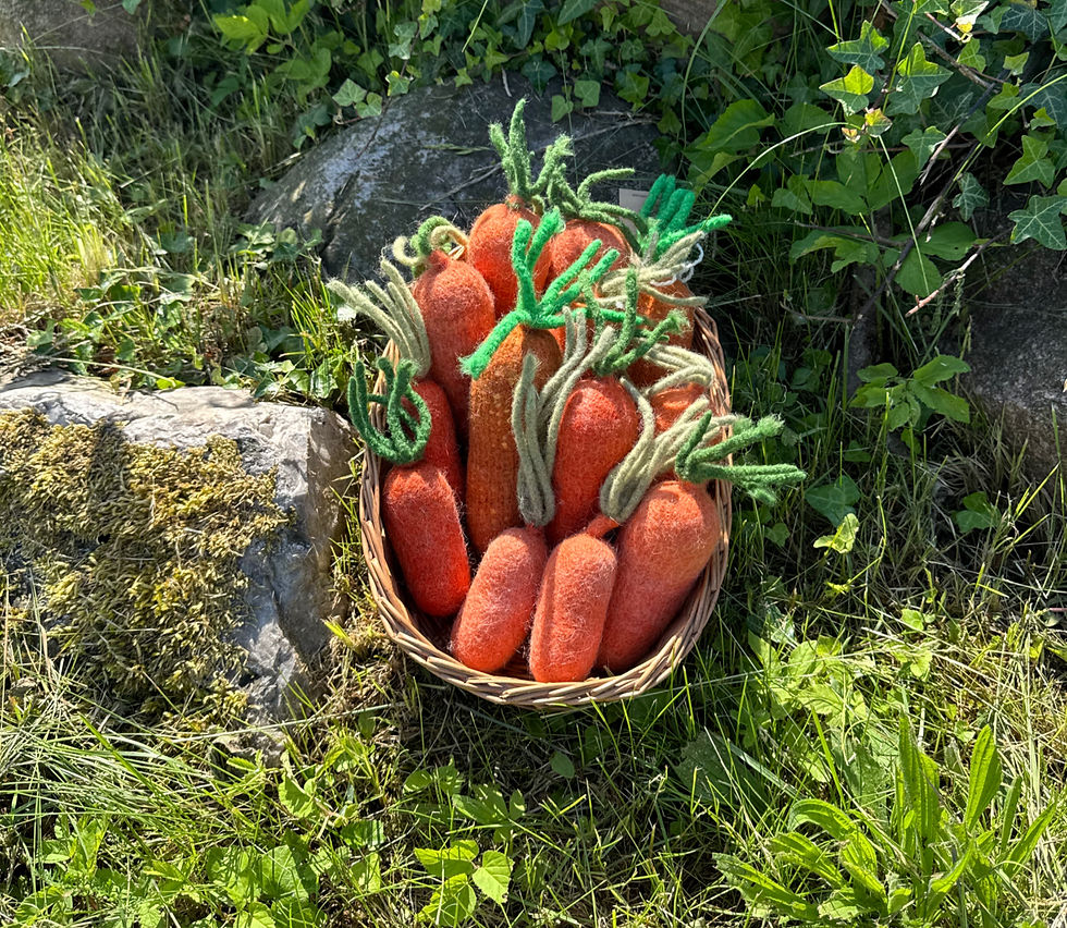 Miniaturbild: Karotte aus robustem Bio-Wollfilz Händleransicht