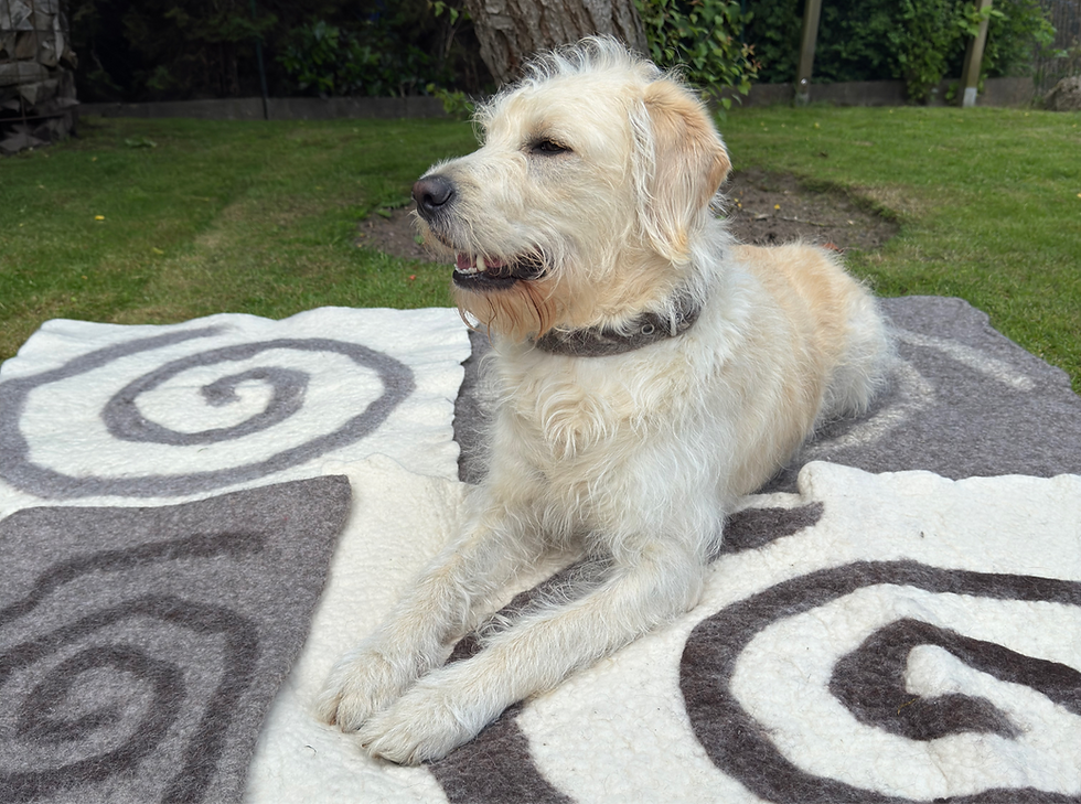 Miniaturbild: Dicke Hundedecke aus Bio-Wollwalk