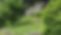 2849_edited.jpg