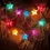 Thumbnail: Capiz Star Series Bulb Type/10pc-set