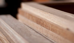 DSC_0145